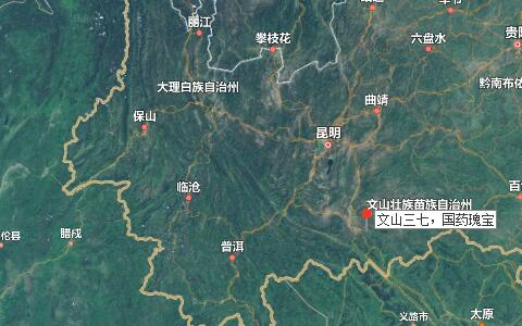 三七粉價(jià)格，三七花價(jià)格，三七的功效