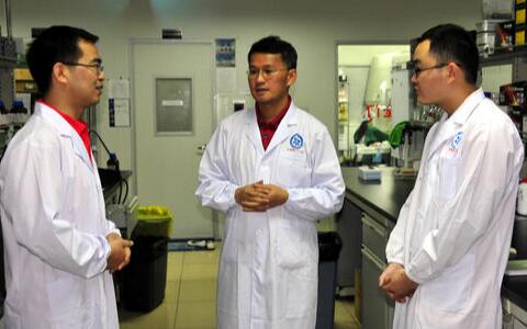 三七粉價(jià)格，三七花價(jià)格，三七的功效